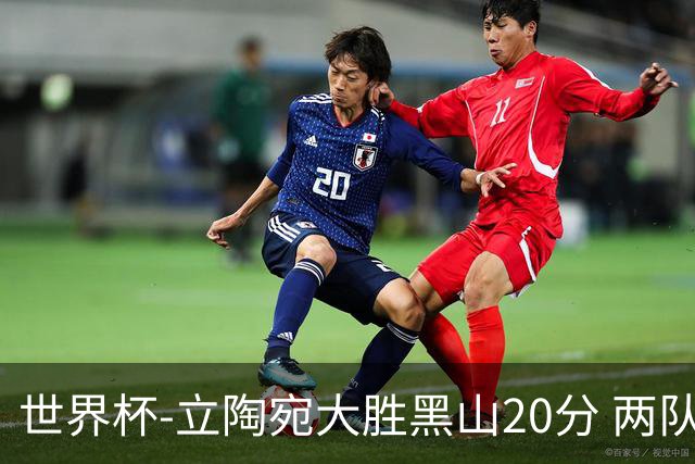 世界杯-立陶宛大胜黑山20分 两队携手晋级16强